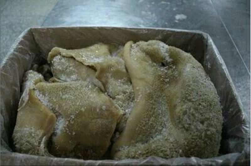 新鲜黄牛生牛肚
