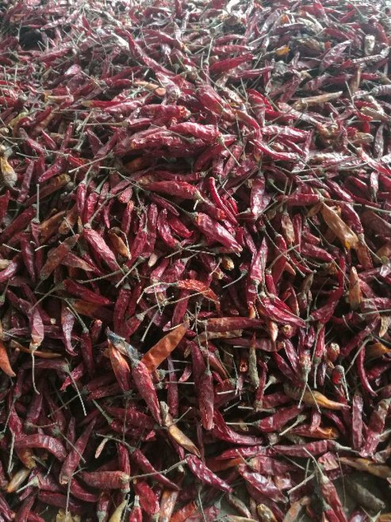 干艳红辣椒5吨，九成干以上，精品，通货都有，有需要的联系