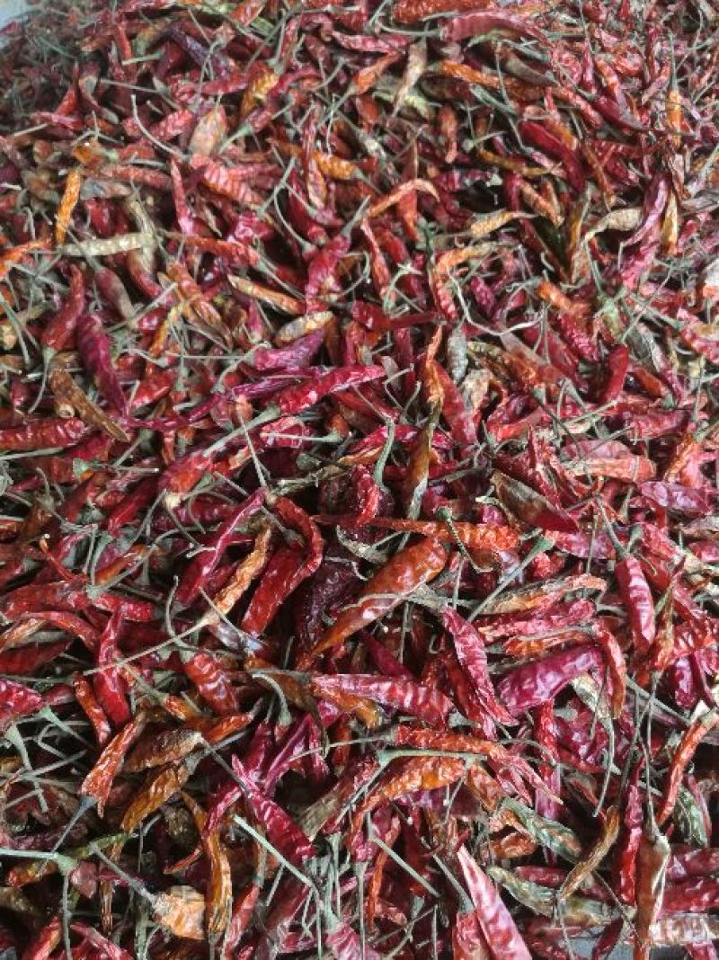 干艳红辣椒5吨，九成干以上，精品，通货都有，有需要的联系