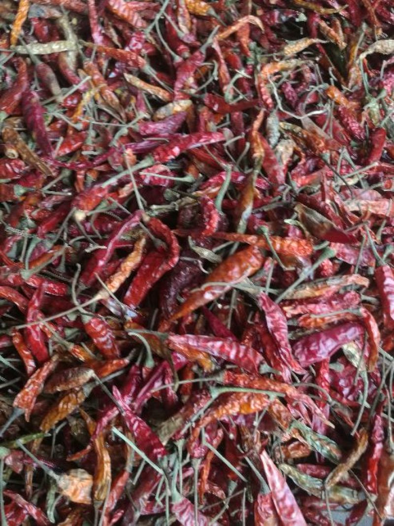 干艳红辣椒5吨，九成干以上，精品，通货都有，有需要的联系