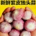 独头蒜