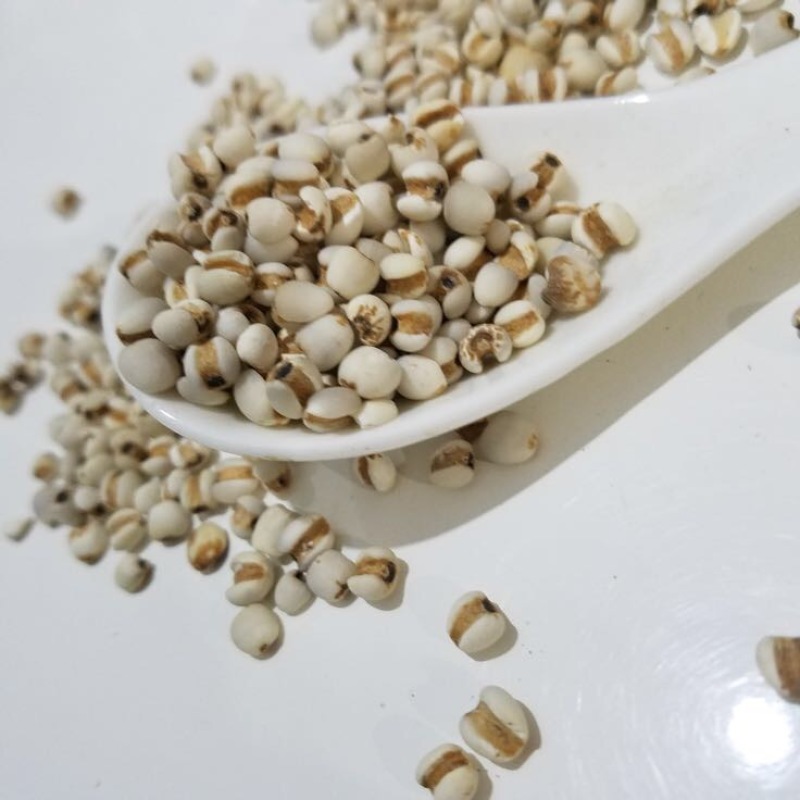 薏米薏米仁，薏苡仁