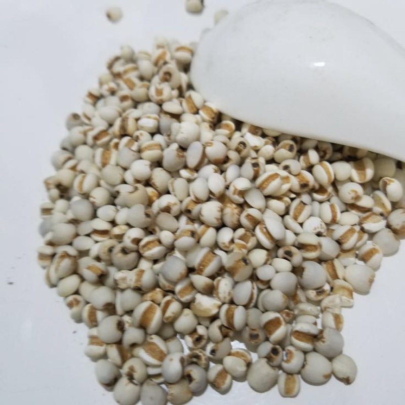 薏米薏米仁，薏苡仁