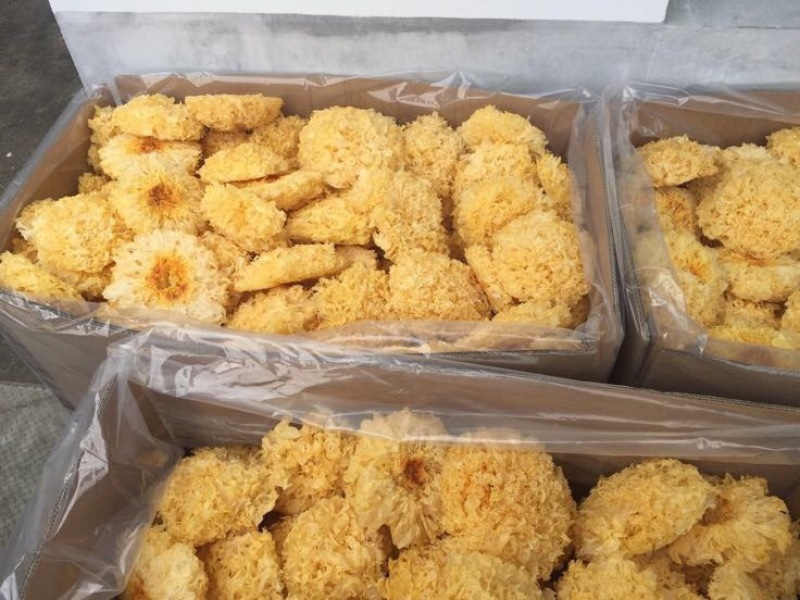 银耳一级