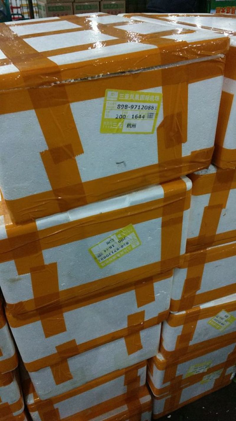 杭州市专业代卖精品黄秋葵，条子直，颜色翠绿，细小嫩绿