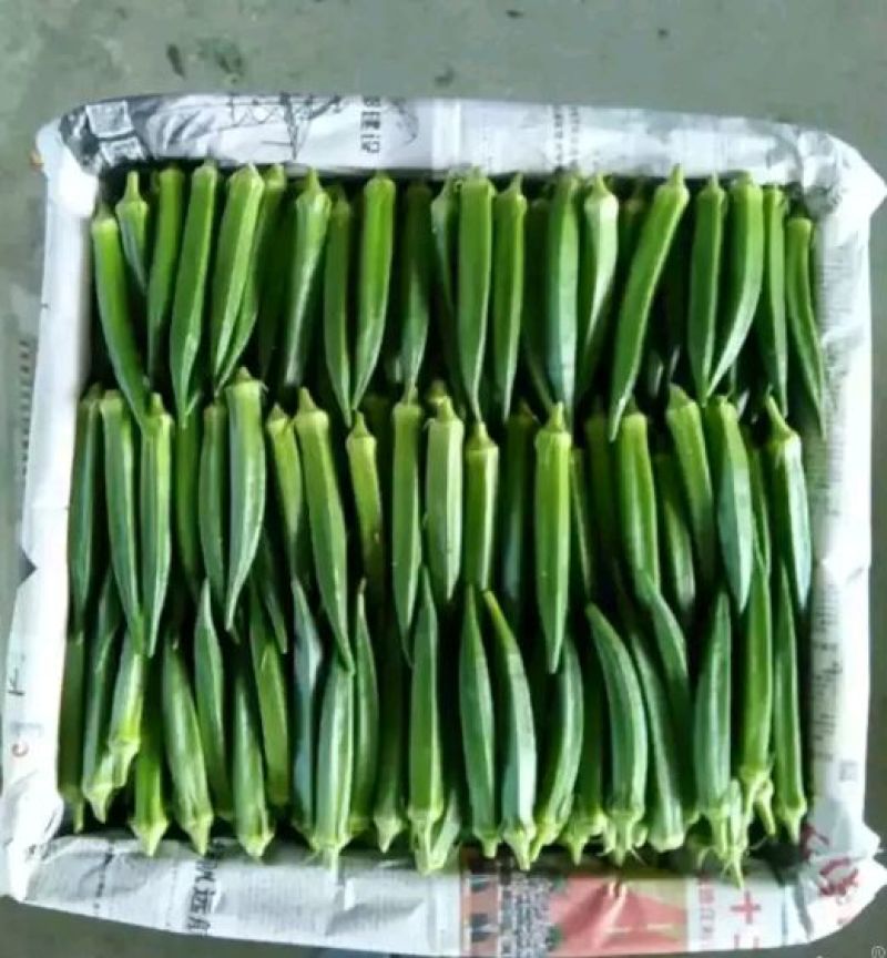 杭州市专业代卖精品黄秋葵，条子直，颜色翠绿，细小嫩绿