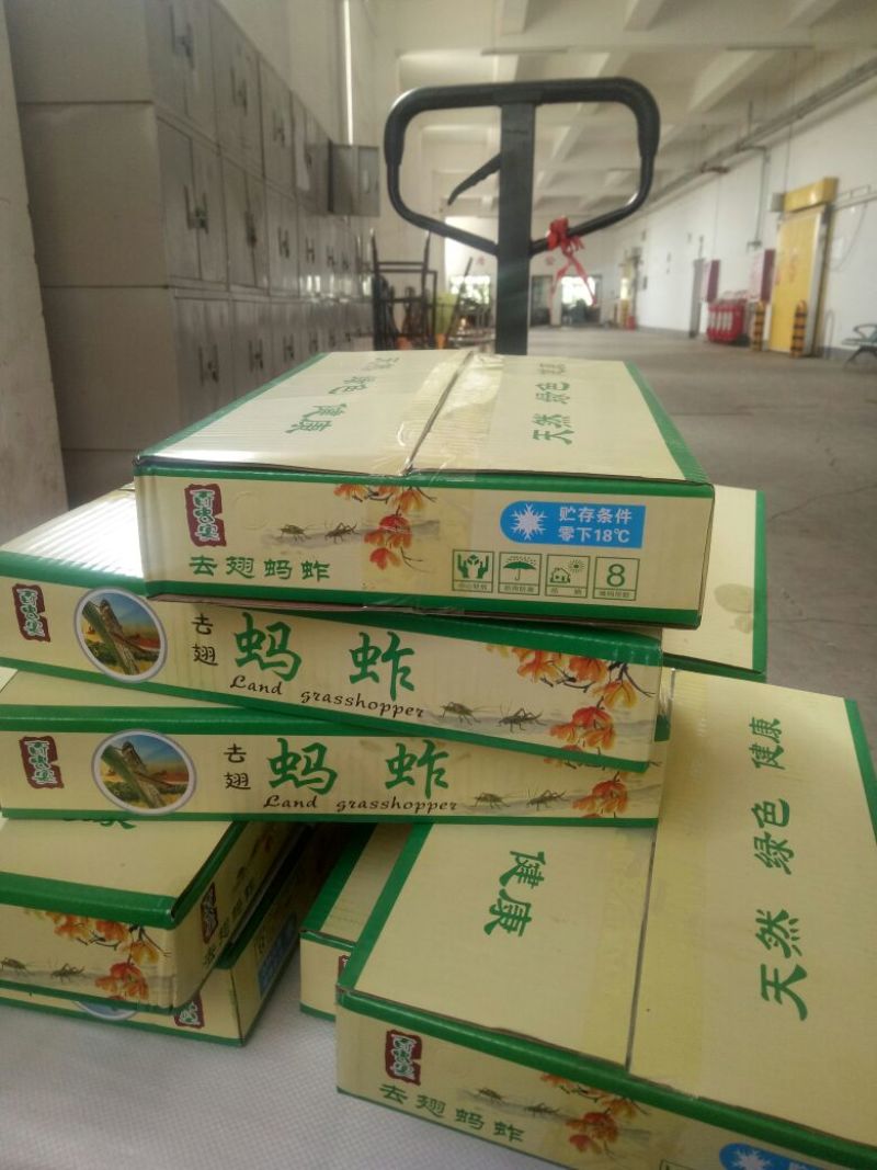 东亚飞蝗食用，带翅膀的蚂蚱，礼盒装，个大体肥