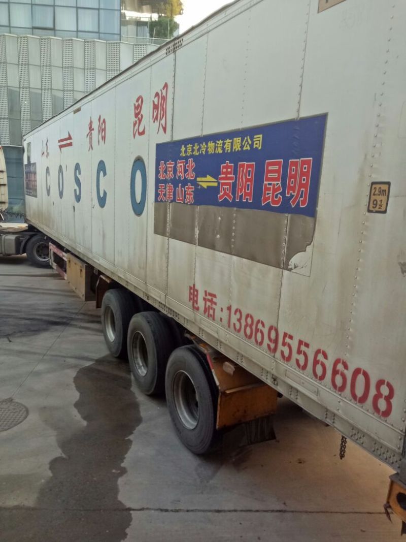 蟋蟀，油葫芦，单冻无冰，多种用途