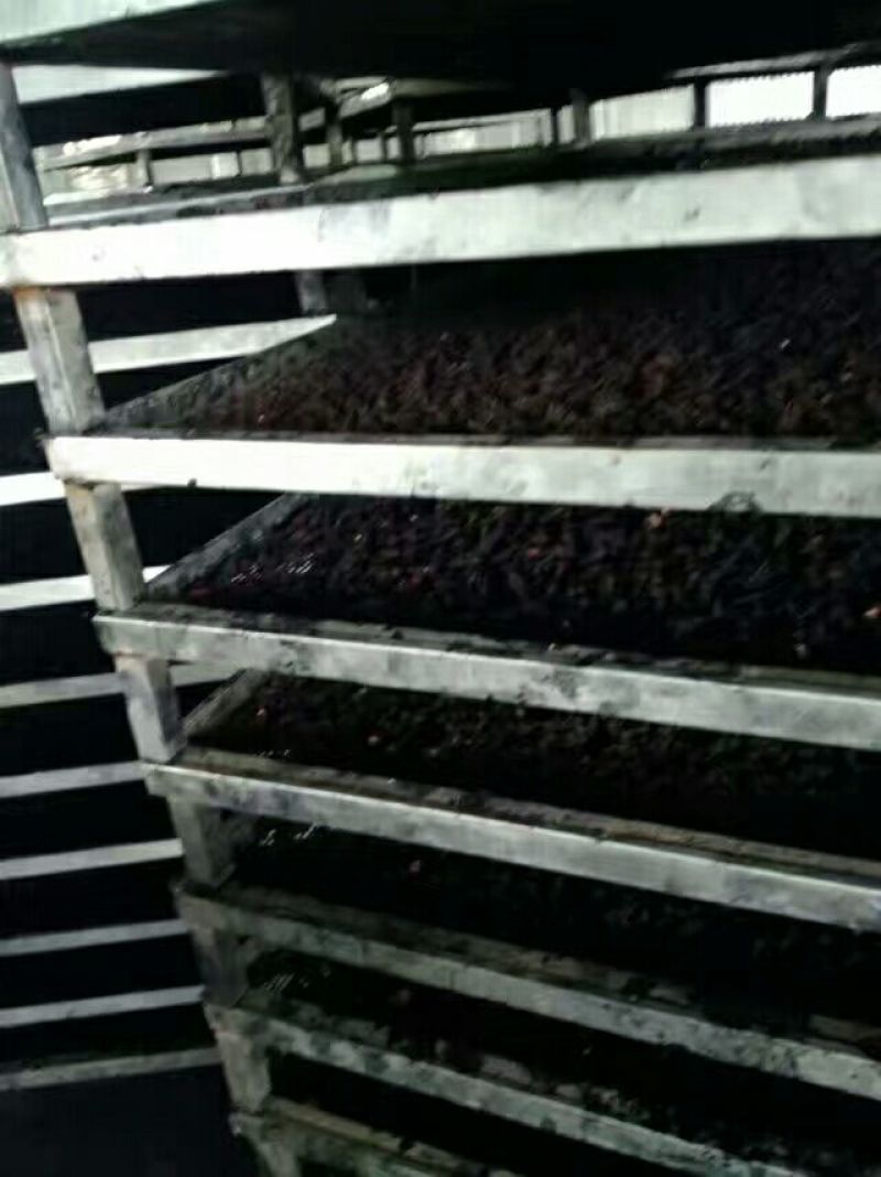桑椹，今年新货桑果干！烘干货1斤起批发零售