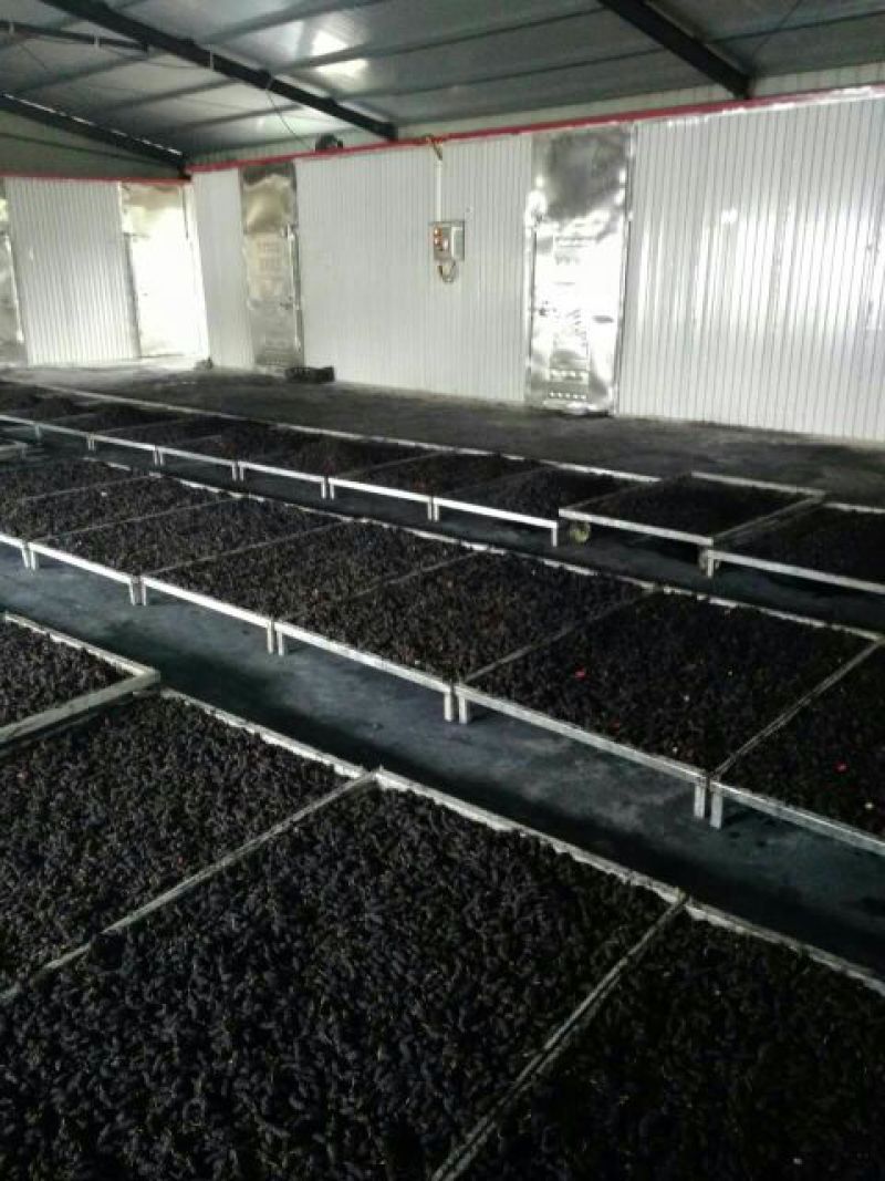 桑椹，今年新货桑果干！烘干货1斤起批发零售
