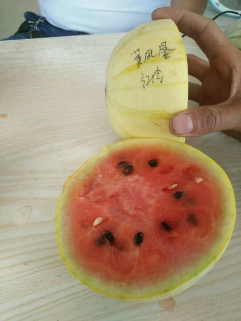 大漠西砂宝西瓜，低糖，适合三高人群食用