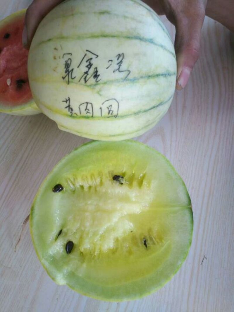 大漠西砂宝西瓜，低糖，适合三高人群食用