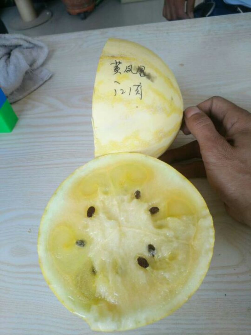 大漠西砂宝西瓜，低糖，适合三高人群食用