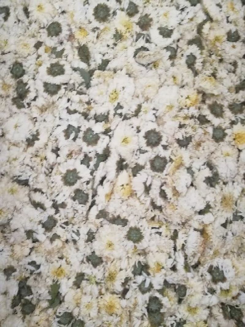 黄山贡菊20斤/箱，900/件，包邮