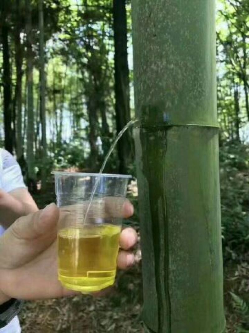 竹筒酒