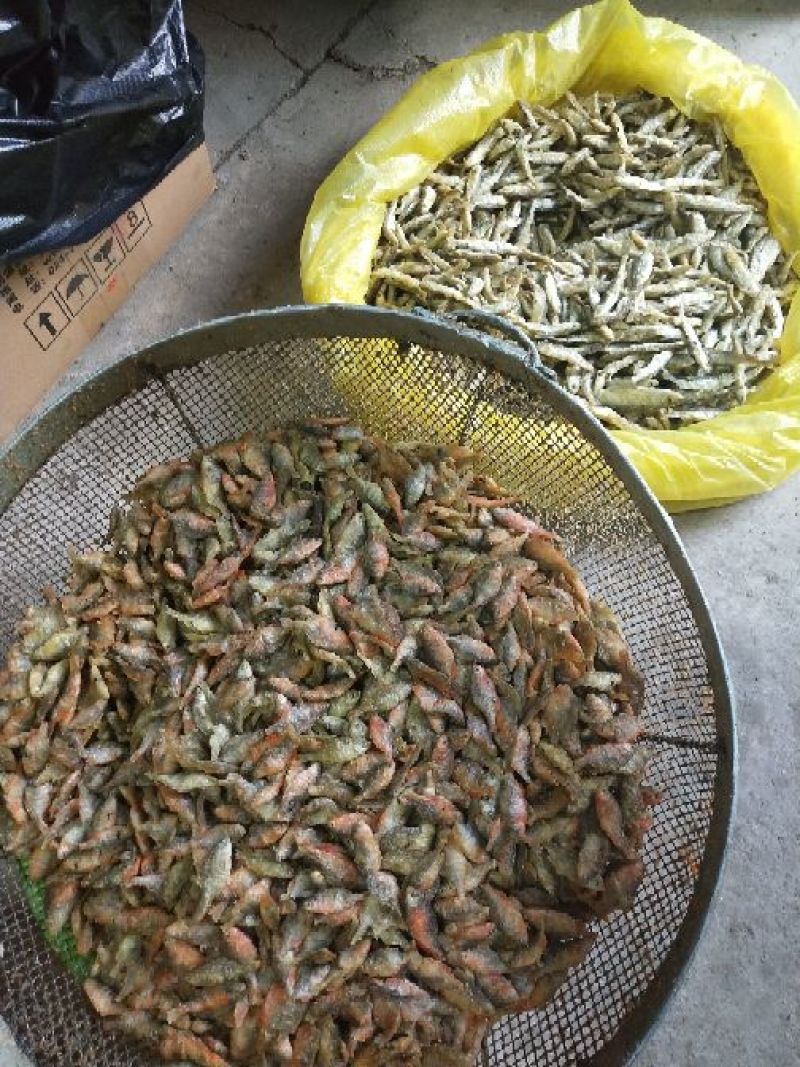 鱼干炸鱼干