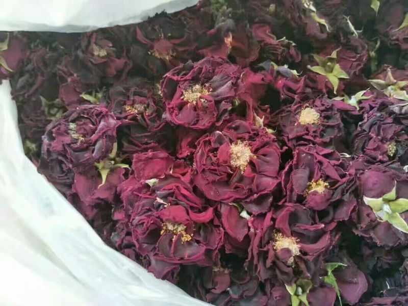食用玫瑰花