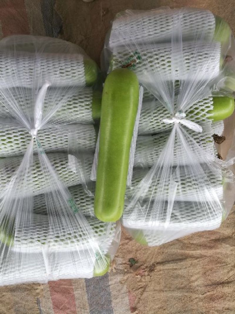 精品瓠瓜，产地直供，支持线上交易保障