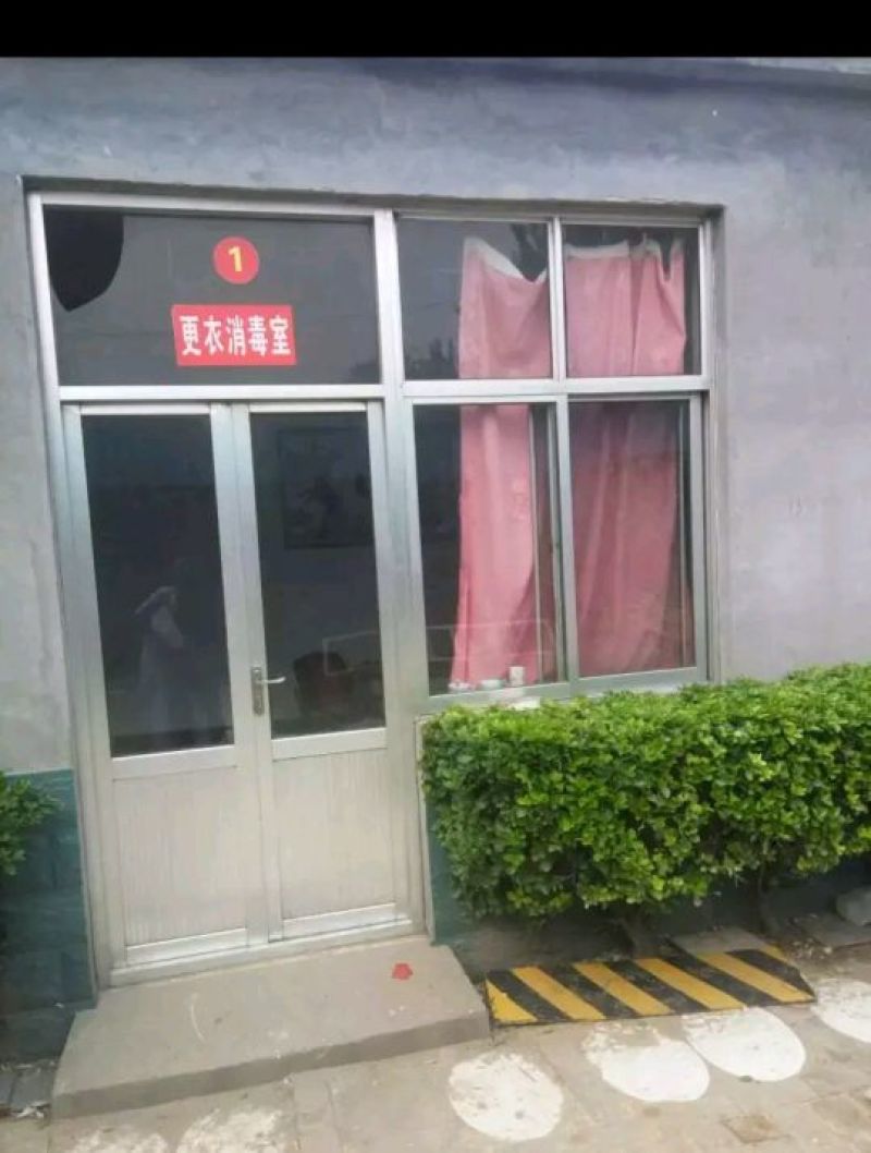 卖纯花生油