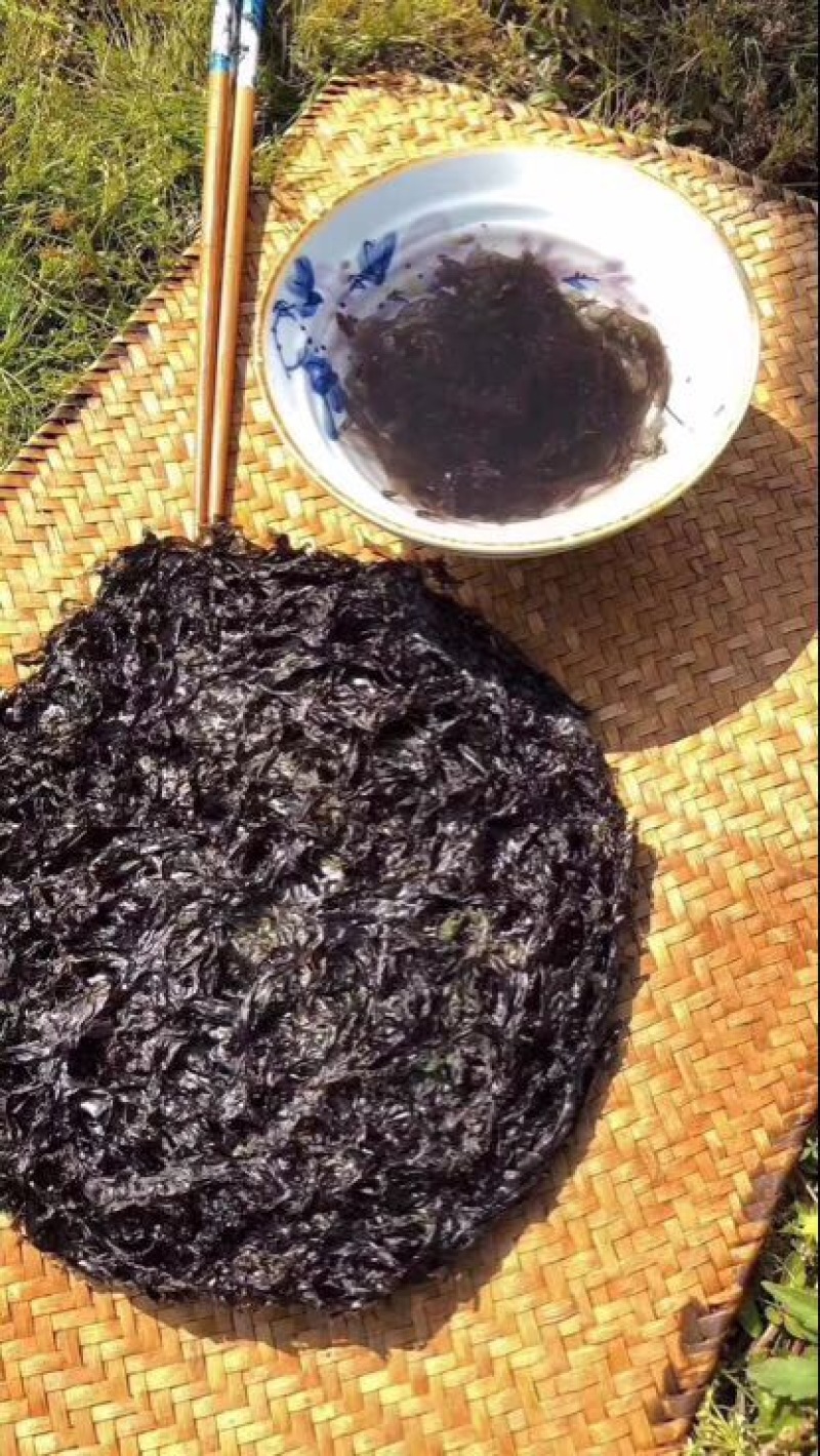 紫菜野生头水