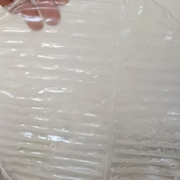 绿豆粉皮