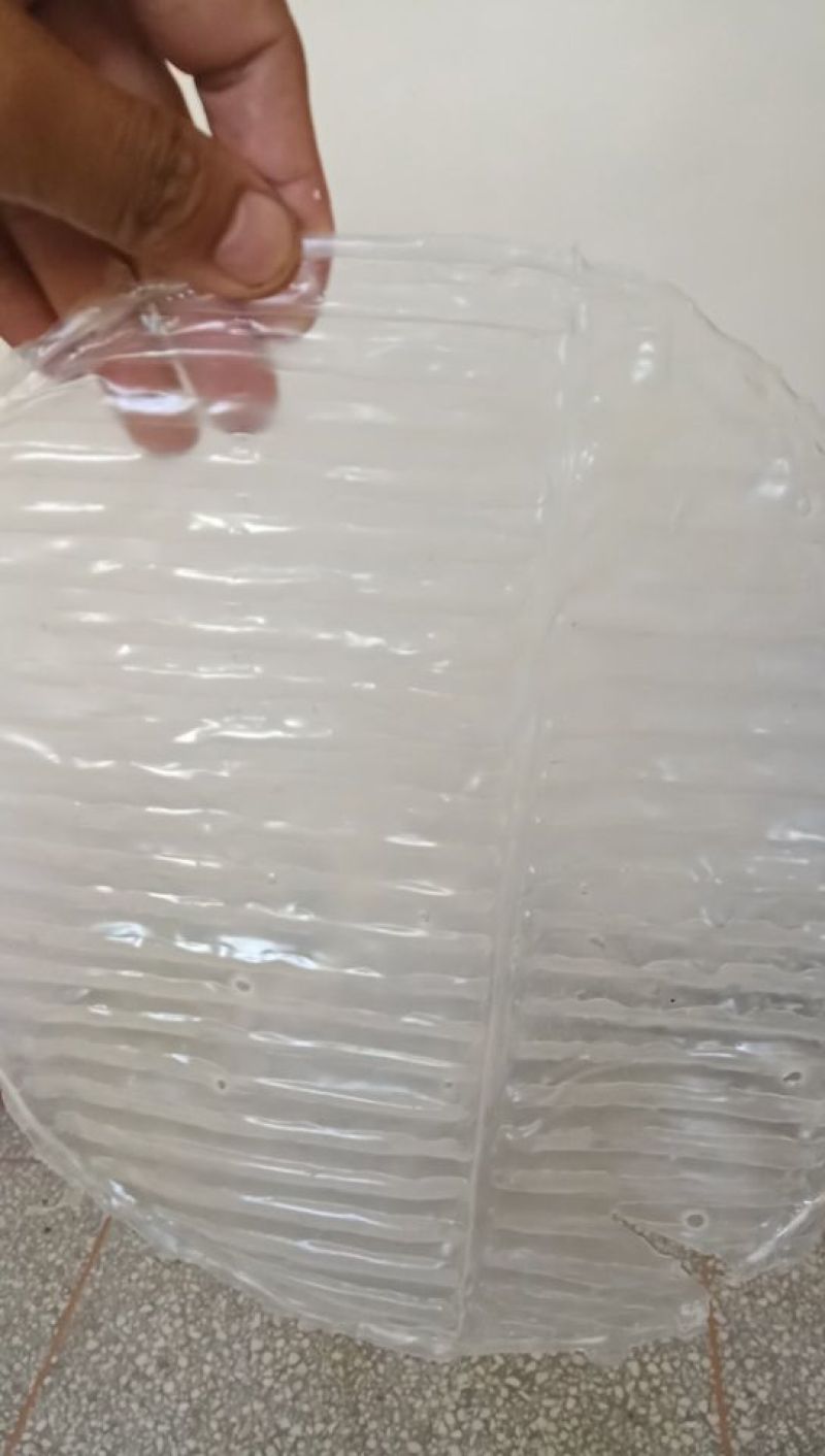绿豆粉皮