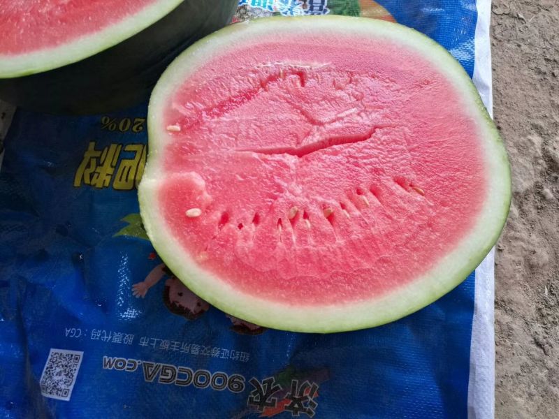 优质黒无籽西瓜