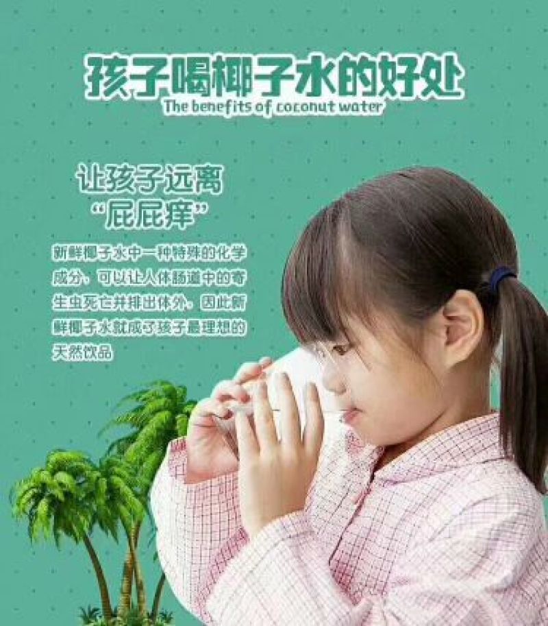 海南东郊椰青