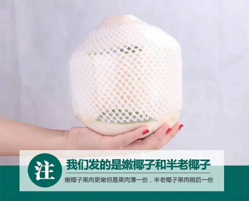 海南东郊椰青