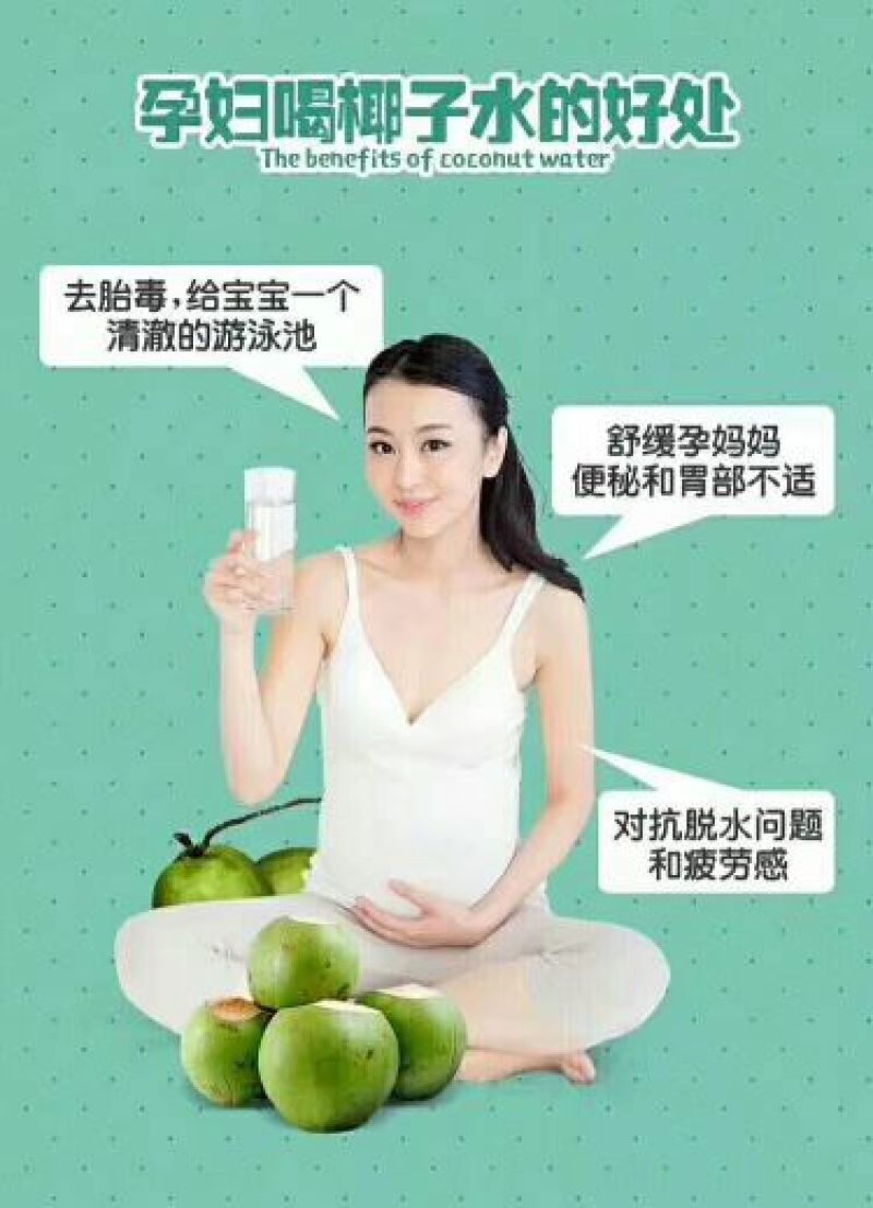海南东郊椰青