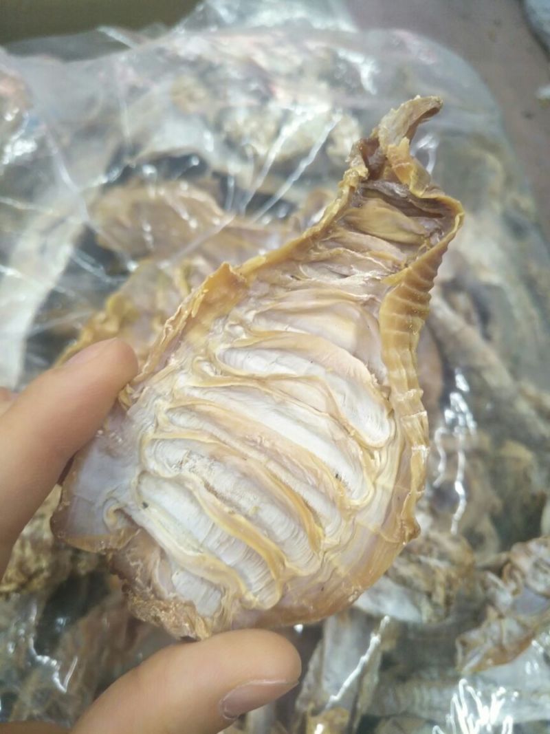 笋干湖南笋干玉兰片，产地直销！