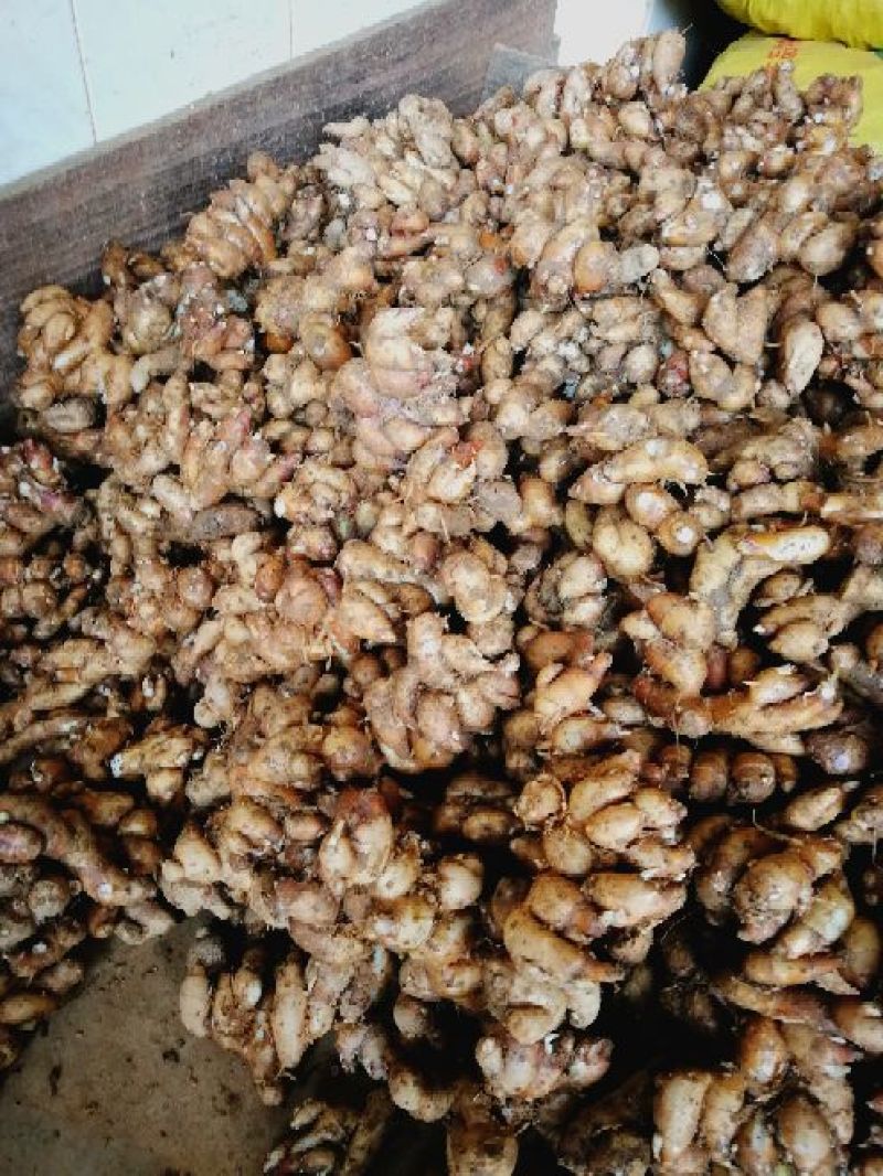 沙姜是两广做菜用的左料量用的好多