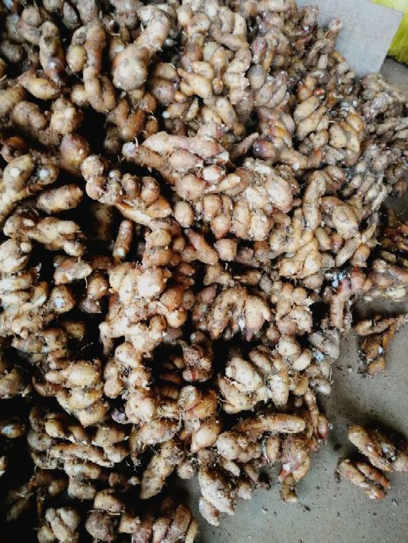 沙姜是两广做菜用的左料量用的好多