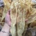 花胶大