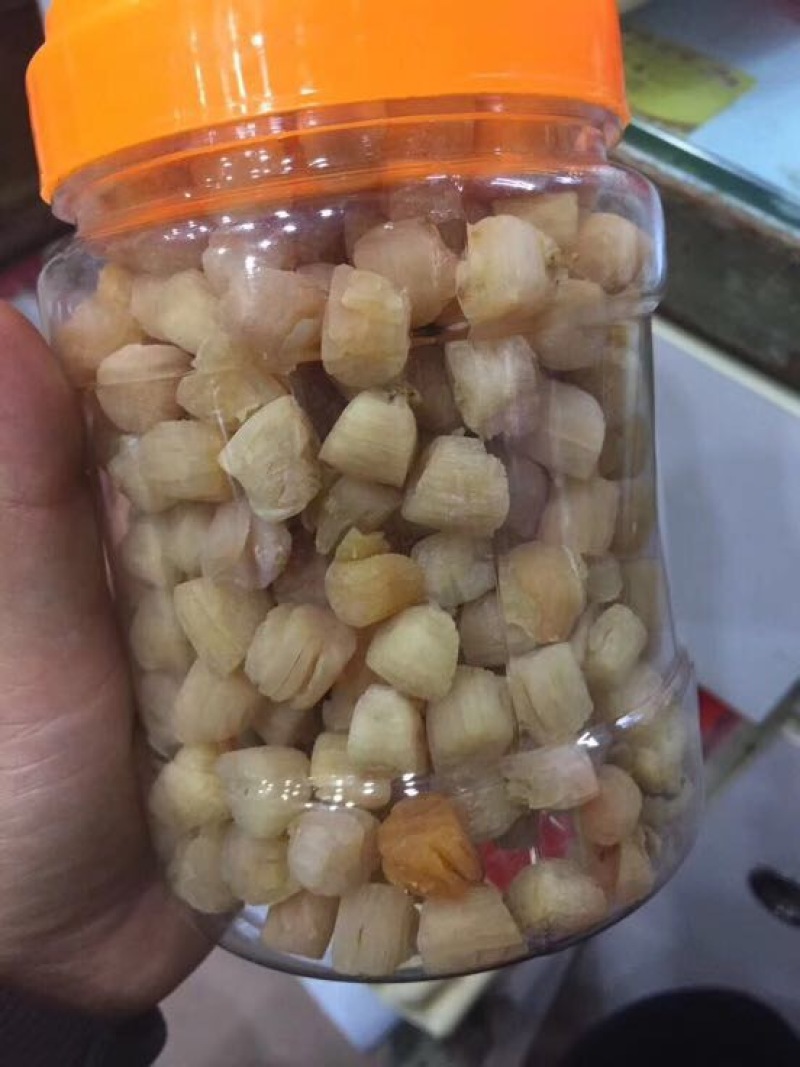 干瑶柱