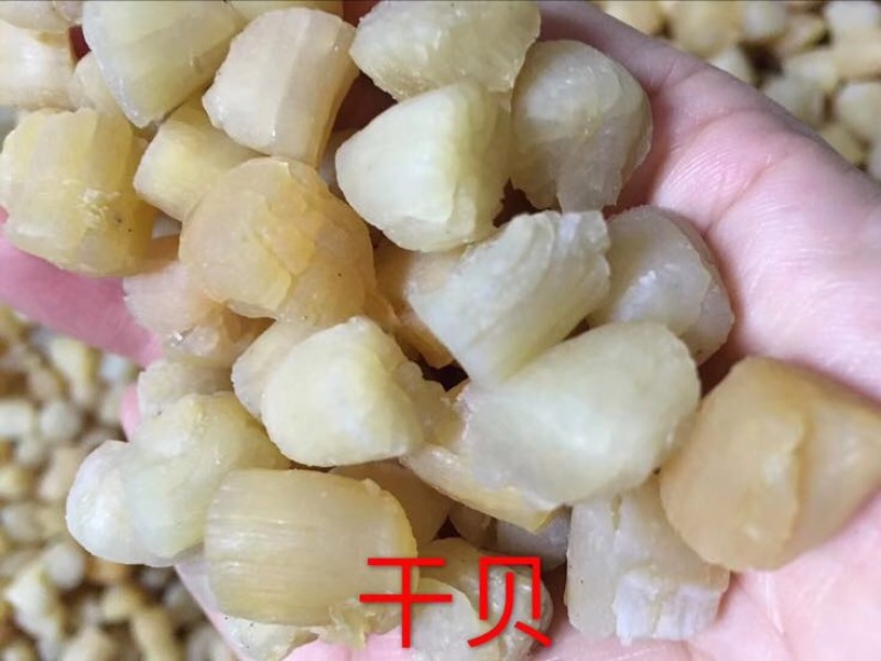 干瑶柱