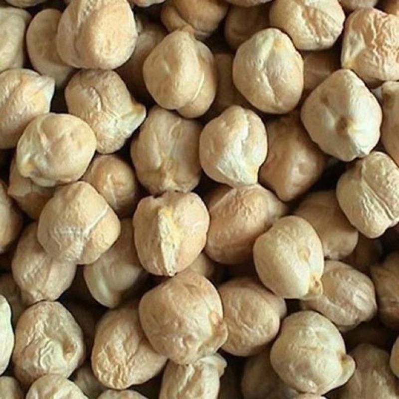 鹰嘴豆一手货源价格美丽