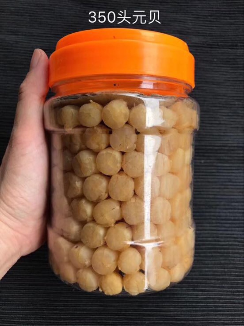干瑶柱