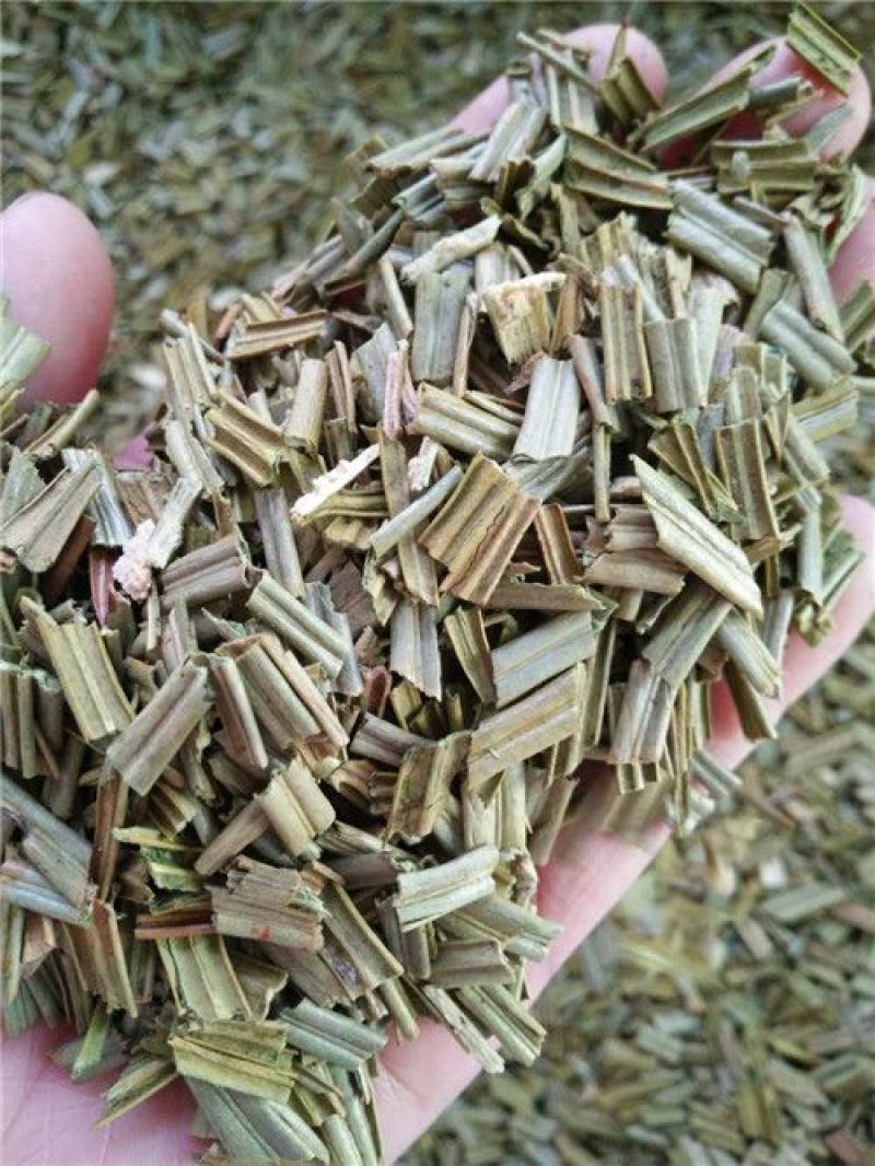 铁树叶中药材批发