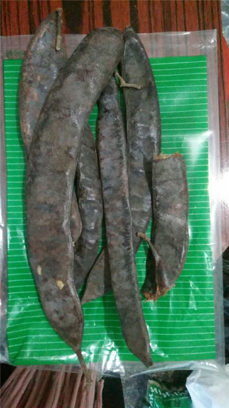 大皂角