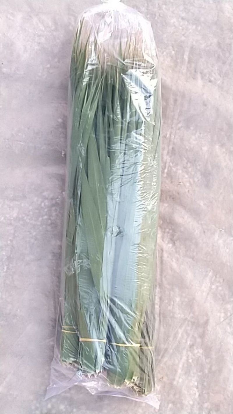 粽叶白洋淀芦苇叶