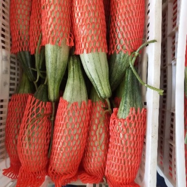 羊角蜜