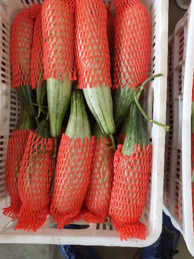 羊角蜜