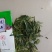 西湖龙井500克/盒明前嫩芽新茶包邮