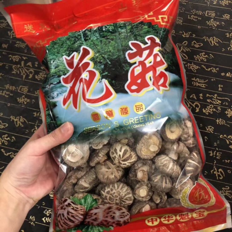香菇菌种原种