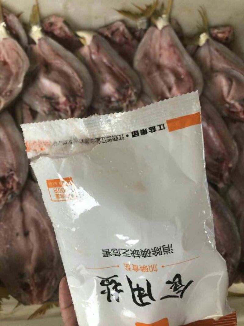 黄尾鱼