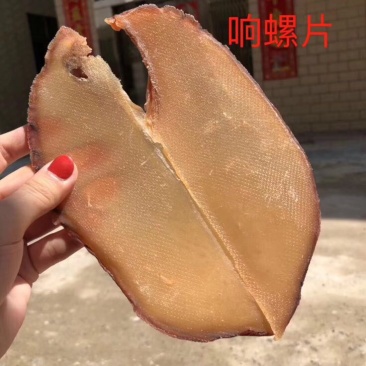 响螺片