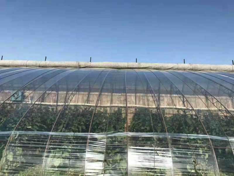【厂家直销】山东润裕塑业EVA精品PO膜精品po膜大棚膜
