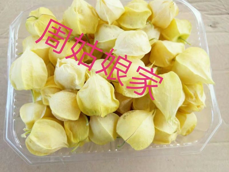 黄菇茑