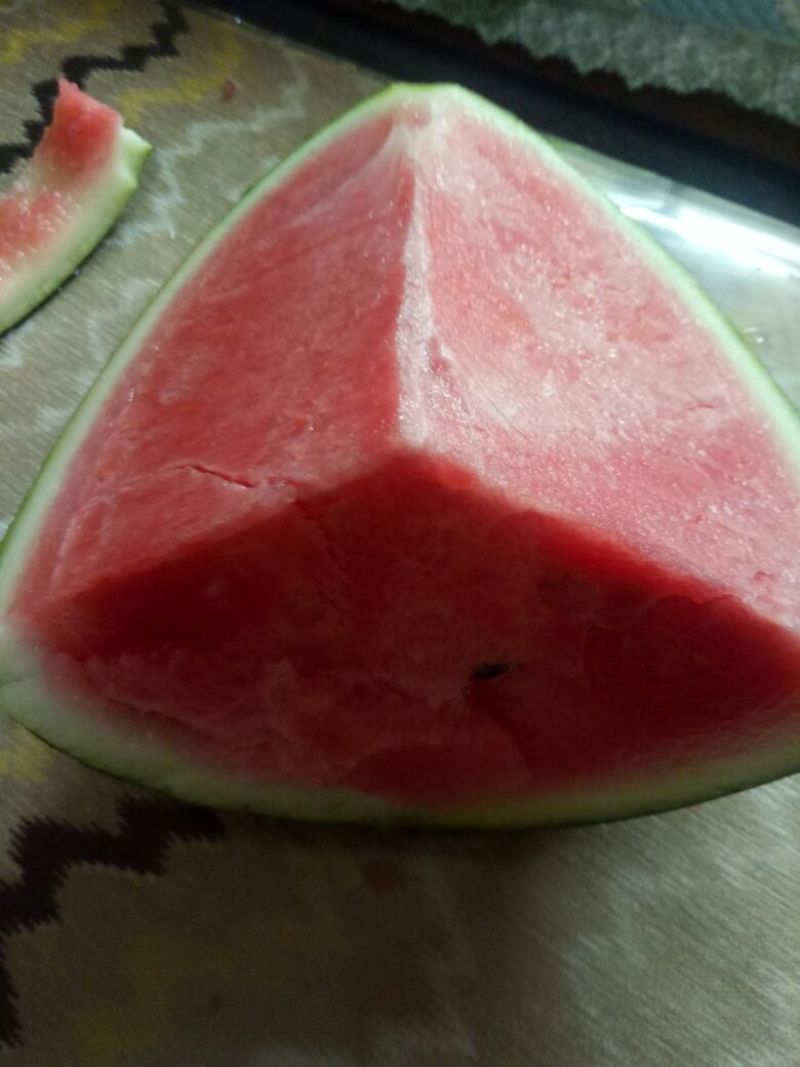 陕西大鹏西瓜